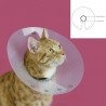 Collier élisabéthain pour chats KVP Saftshield Transparent 13.25-17.7 cm