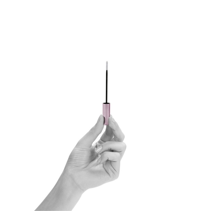 Carte postale microlorge