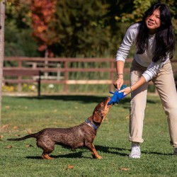 Jouet pour chien Stitch Bleu