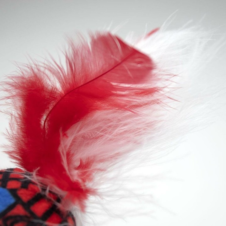 Carte postale microlorge