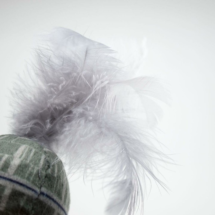 image imprimée ou numérique