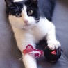 Jouet pour chats Minnie Mouse Rouge PET