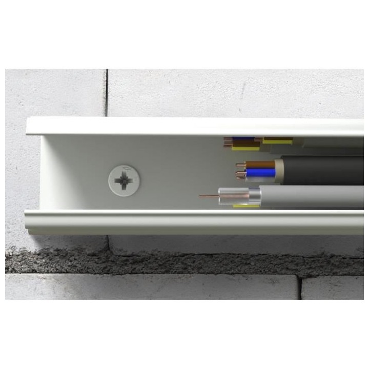 FISCHER - Cheville clou NF 8x60/20 avec collerette épaisse et clou te