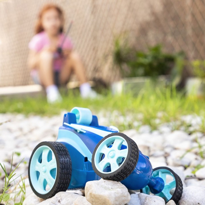 Carte postale microlorge