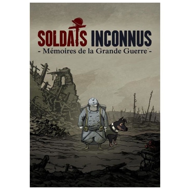 Valiant Hearts : The Great War - Remaster Jeu Switch (Code dans la boi