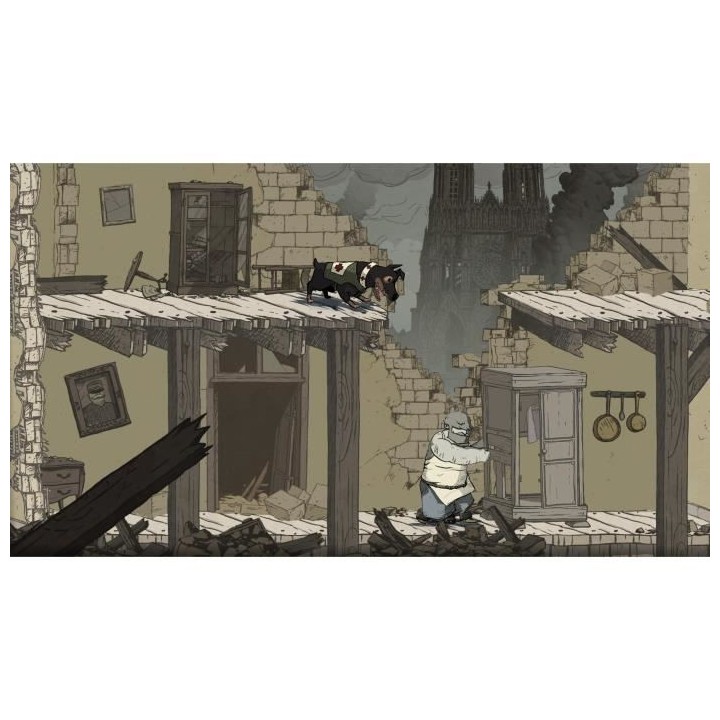 Valiant Hearts : The Great War - Remaster Jeu Switch (Code dans la boi