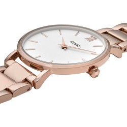 Montre Femme Cluse CW0101203027 (Ø 33 mm)