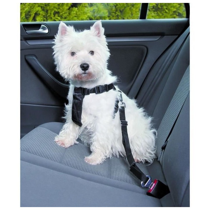 TRIXIE Harnais pour voiture pour chien