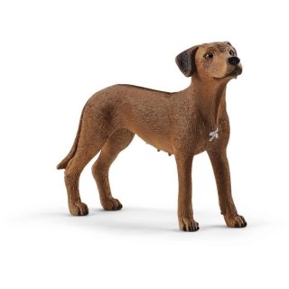 SCHLEICH Figurine Chien de Rhodésie a crete dorsale - 13895 - Farm Wo