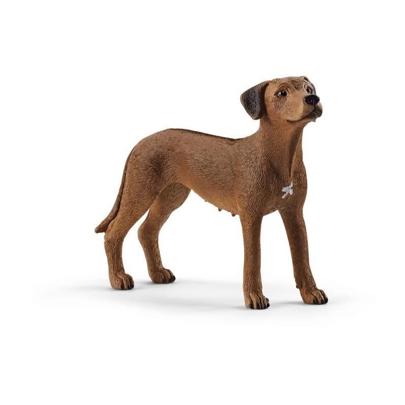 SCHLEICH Figurine Chien de Rhodésie a crete dorsale - 13895 - Farm World