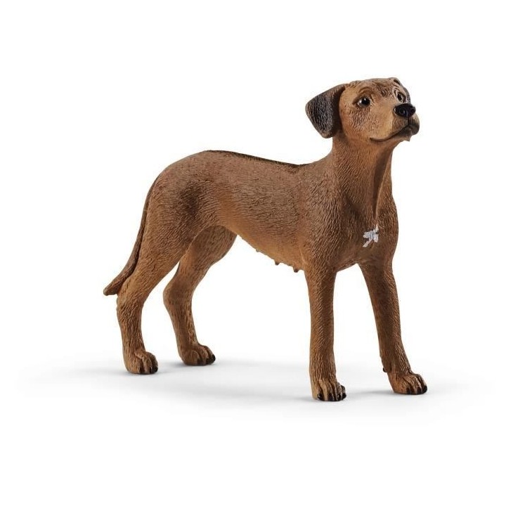 SCHLEICH Figurine Chien de Rhodésie a crete dorsale - 13895 - Farm Wo