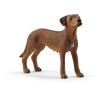 SCHLEICH Figurine Chien de Rhodésie a crete dorsale - 13895 - Farm World