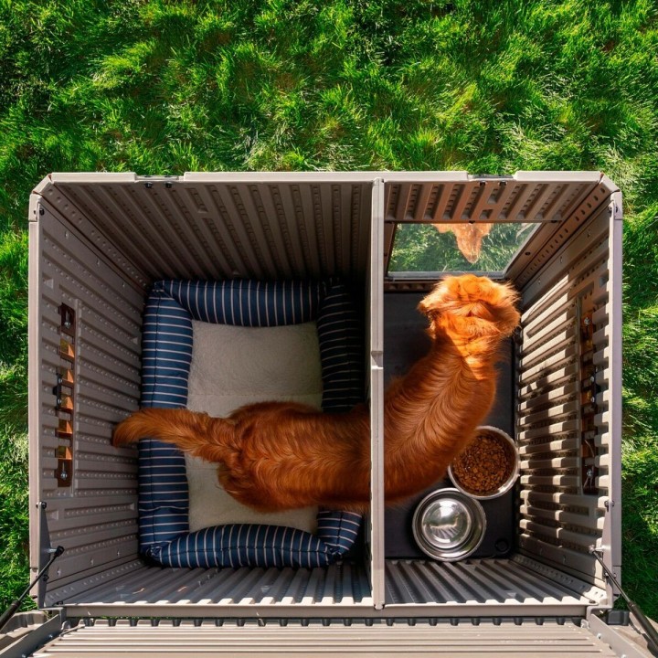 image imprimée ou numérique