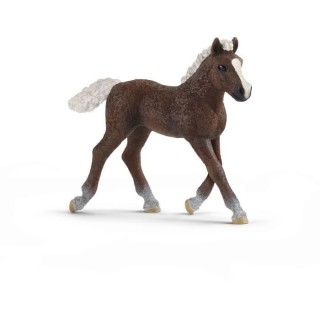 SCHLEICH - Figurine Poulain Foret Noire