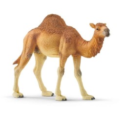 SCHLEICH - Figurine Dromadaire