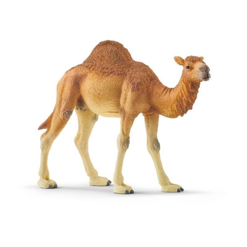 SCHLEICH - Figurine Dromadaire