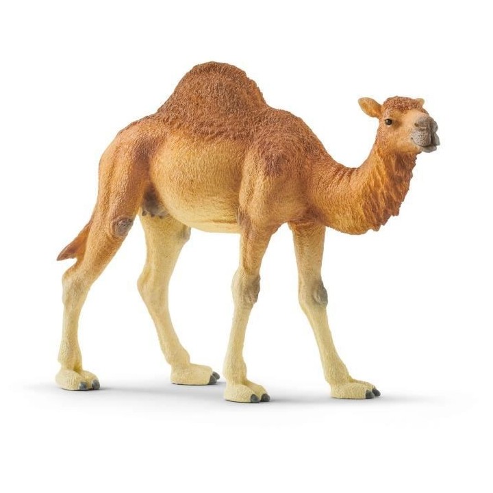 SCHLEICH - Figurine Dromadaire