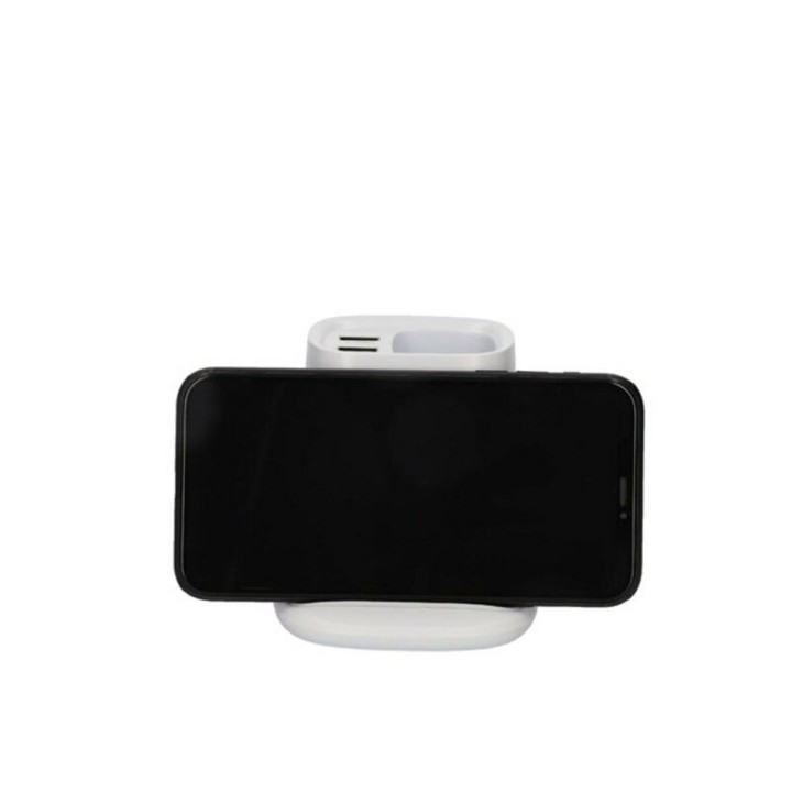 Carte postale microlorge