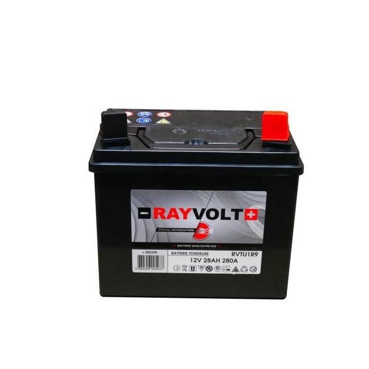 Batterie tondeuse RAYVOLT UR19 28AH 280A (+ a droite)