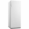 Congélateur Hisense FV191N4AW1 Blanc (144 x 55,4 cm)