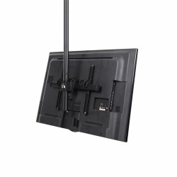 Support de TV Startech FPCEILPTBLP 50 kg 32" 75"