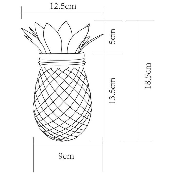 Ananas solaire - GALIX