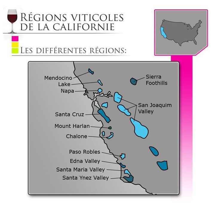 Gallo Family Chardonnay Californie vin blanc x1