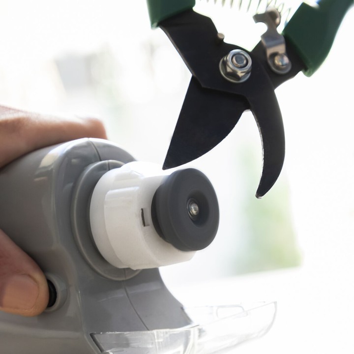 Carte postale microlorge