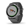 Garmin vivoactive 4 - Montre connectée GPS multisports - Silver Shadow Grey