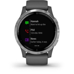 Garmin vivoactive 4 - Montre connectée GPS multisports - Silver Shadow Grey