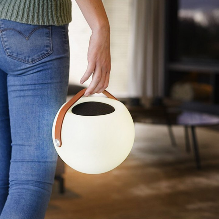 Carte postale microlorge