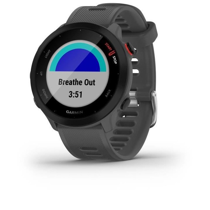 GARMIN Forerunner 55 - Montre connectée GPS - Grise Monterra