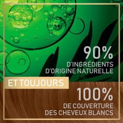 Coloration permanente Belle Color Naturals GARNIER - Sans ammoniaque - 63 Blond foncé naturel doré