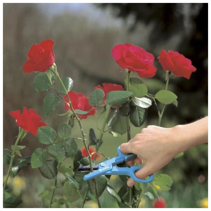 GARDENA Cueille-roses – Taille XL – Lames affûtées inox – Rés