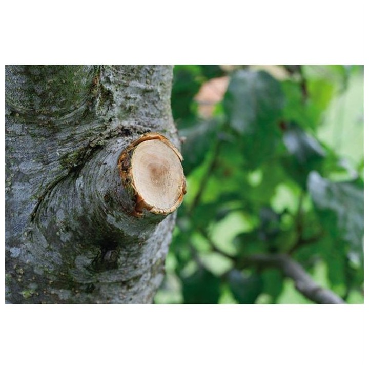 GARDENA Coupe-branches a enclume SmartCut Comfort – Lame enclume aut