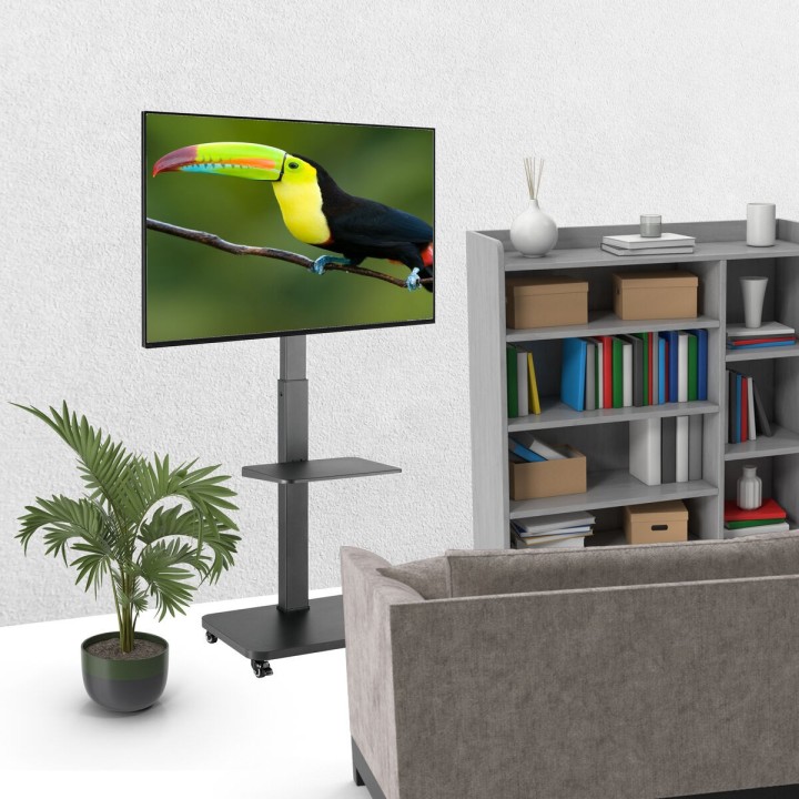 Carte postale microlorge