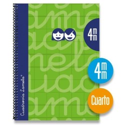 Cahier Lamela Vert 4 mm 80...