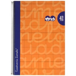 Cahier Lamela 4 mm 80...