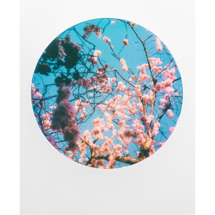 Carte postale microlorge