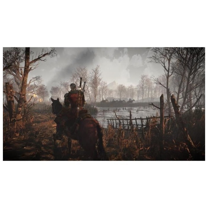 The Witcher 3 : Wild Hunt Goty Edition Jeu PS4