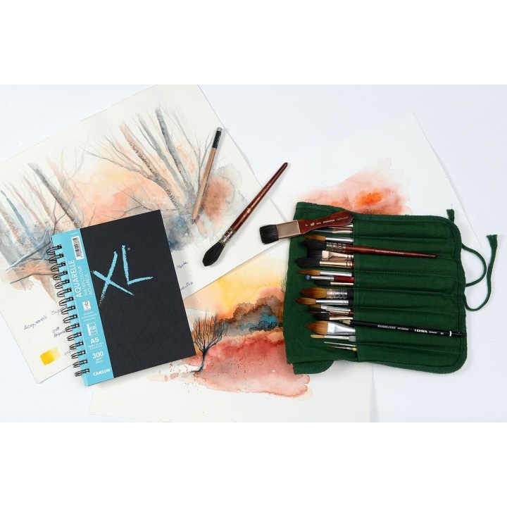 Carte postale microlorge