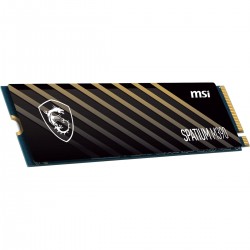 Disque dur MSI SPATIUM M390 NVMe M.2 250GB Interne SSD 250 GB 250 GB SSD