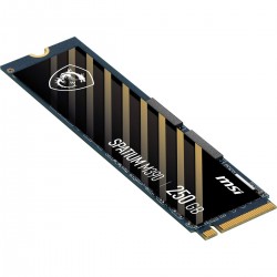 Disque dur MSI SPATIUM M390 NVMe M.2 250GB Interne SSD 250 GB 250 GB SSD