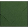 Papiers carton Iris Amazon Vert 50 x 65 cm