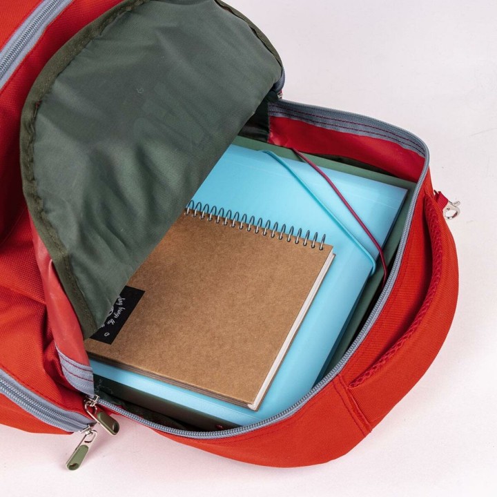 Carte postale microlorge