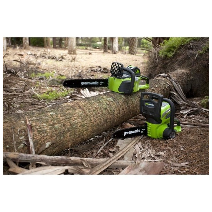 Greenworks Tronçonneuse sans batterie 40 V G40CS30 30 cm 20117