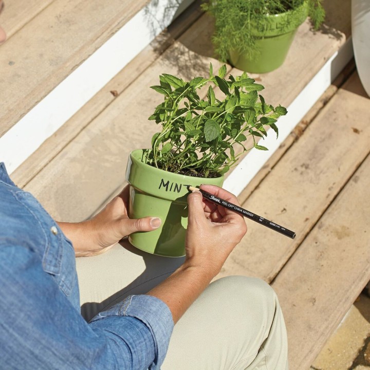 Carte postale microlorge