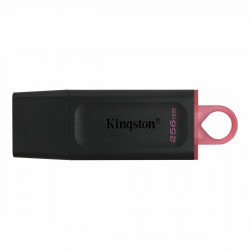 Clé USB Kingston DTX/256GB...