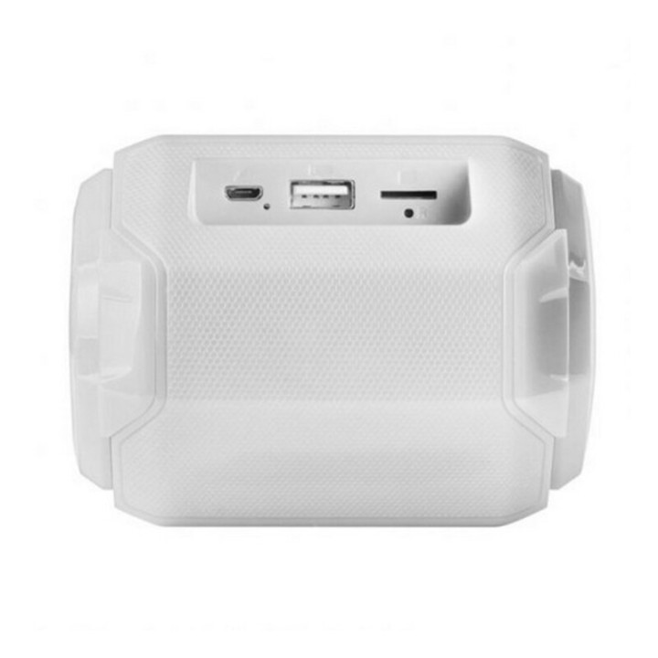 Carte postale microlorge