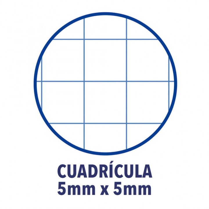 Carte postale microlorge